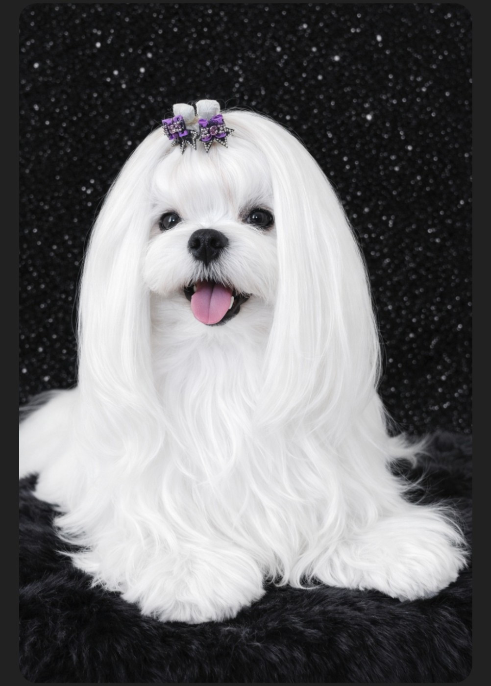 Magic White Illusion Stich